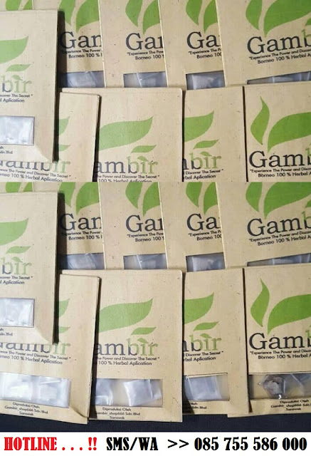 Jual Gambir Sarawak Asli