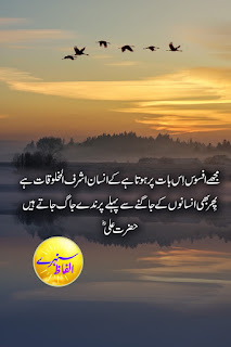 Hazrat Ali Quotes