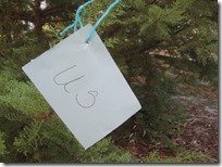 1-IMG_2370