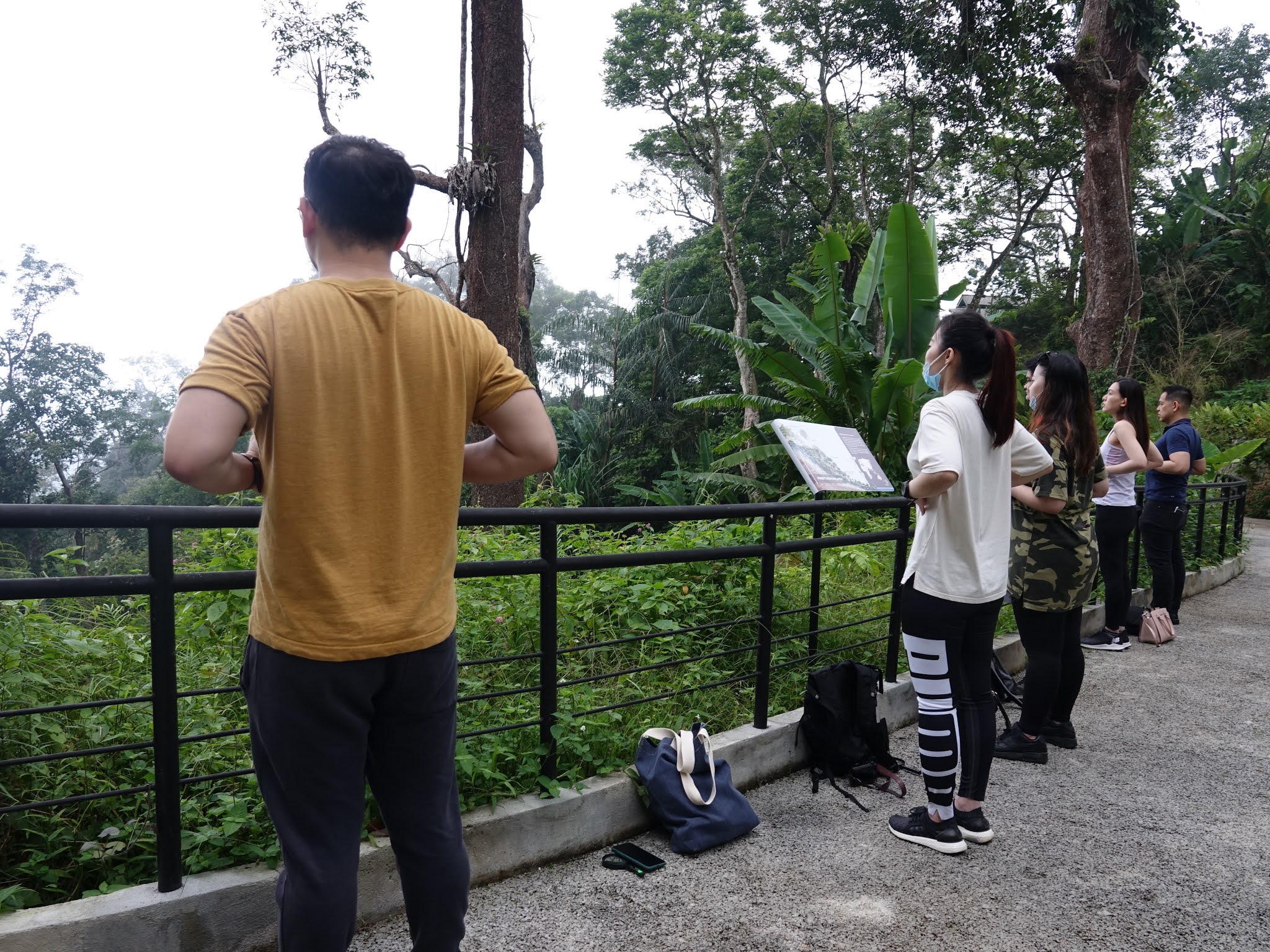 Jj In Da House Forest Bathing Experience The Habitat Penang Hill