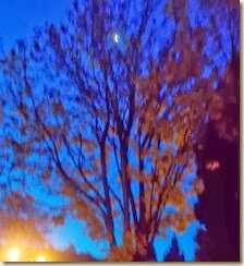 DSCN1335