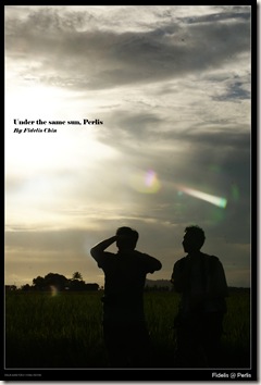 perlis7