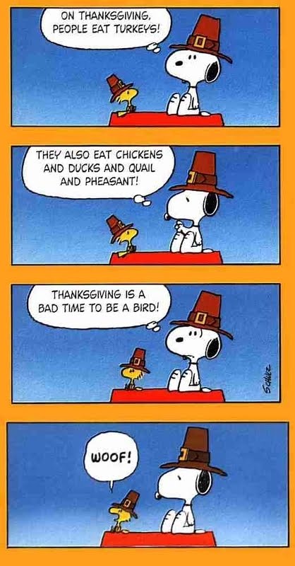 turkey-snoopy-funny2.jpg