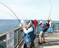 pier fishing in Gulf Shores AL