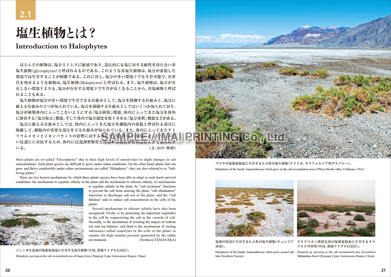 Imai Printing News 乾燥地フォトブックシリーズvol 4 乾燥地の塩類集積 3 31発売