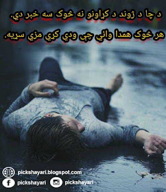 Pashto Poetry