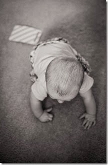 IMG_9831 IMG_9831