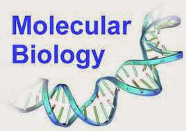 Biologi Molekuler Adalah