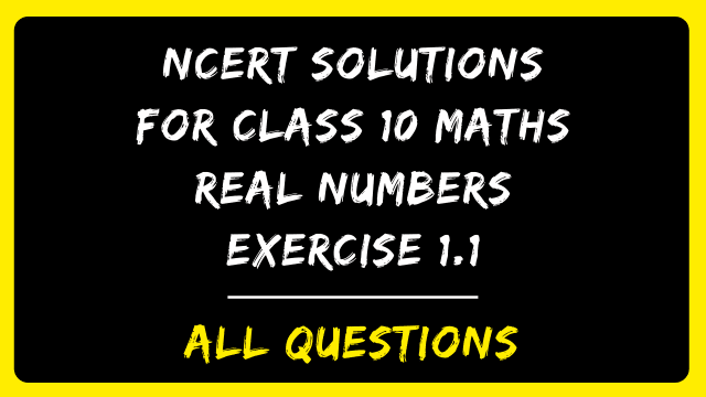 Easy NCERT Solutions For Class 10 Maths Real Numbers Exercise 1.1