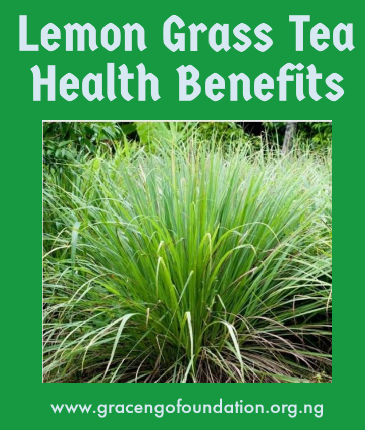 HEALTH BENEFITS OF STUBBORN GRASS - Oluwa loni iwosan ede