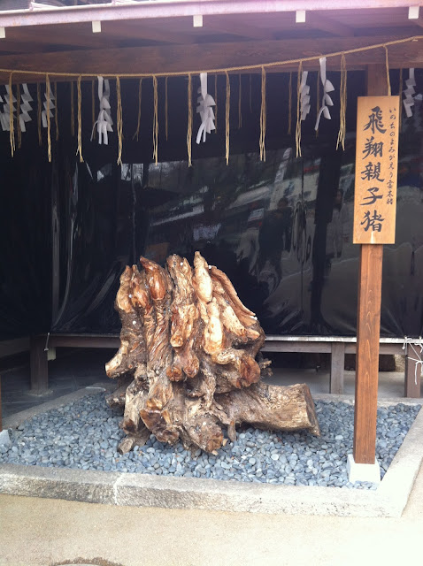 Old sacred tree inside the Go'o Shrine 護王神社