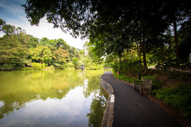 Botanic gardens-Singapore