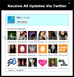 Twitter_follower_box