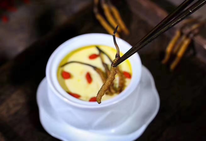Đông Trùng Hạ Thảo Tây Tạng