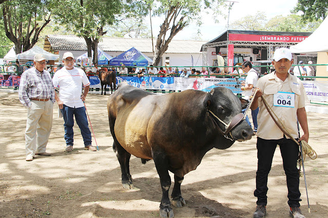 ÉXITO FERIAL