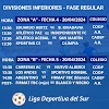 Cronograma de las fechas 4 y 5 de divisiones de inferiores de la Liga Deportiva del Sur