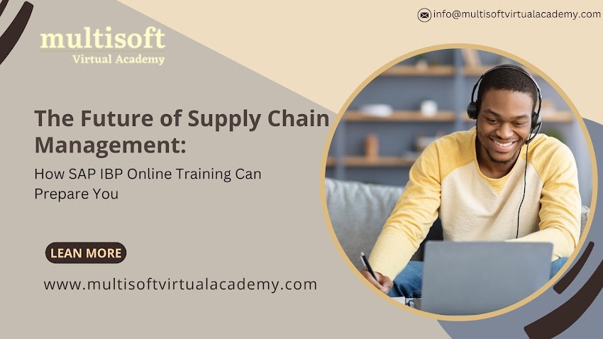 The Future of Supply Chain Management: How SAP IBP Online Training Can Prepare You