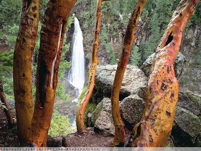 Natural View Water Fall Photos | Resolution 800x600