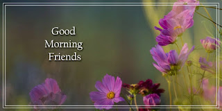 good-morning-my-friend-images,-good-morning-dear-friend-images,-good-morning-my-friend-gif,-funny-good-morning-images-for-friends,-good-morning-i-hope-you-have-a-wonderful-day,-good-morning-my-dear-friend-images,-good-morning-images-for-best-friend,-good-morning-messages-for-friends-with-pictures,-good-morning-blessings-friends,-good-morning-pictures-for-friends,-good-morning-my-sweet-friend-images,-funny-good-morning-images-for-him,-good-morning-family-and-friends-happy-wednesday,-happy-thursday-friends-images,-morning-friends-images,-good-morning-beautiful-friend-images,-good-morning-friends-happy-friday,-friend-good-morning-photo,-good-morning-my-best-friend-images,-good-morning-family-and-friends-images,-good-morning-thoughts-for-friends,-good-morning-images-for-girlfriend,-good-morning-friends-pic,-good-morning-sunday-friend,-good-morning-images-with-quotes-for-friends,-friend-love-good-morning-images,-good-morning-sweet-friend-images,-good-morning-friends-happy-sunday,-good-morning-images-for-friends-cute,-good-morning-friend-blessings,-good-morning-my-beautiful-friend-images,-good-morning-my-friend-pictures-images-and-photos,-good-morning-special-friend-images,-happy-saturday-friends-images,-happy-tuesday-friends-images,-sunday-morning-wishes-for-friends,-good-morning-messages-for-family-and-friends,-good-morning-friends-happy-saturday,-good-morning-friends-images-with-quotes,-good-morning-friends-happy-thursday,-good-morning-friends-happy-tuesday,-,-good-morning-friends-photo,-good-morning-friends-images-download,-best-friend-good-morning-images,-good-morning-images-in-marathi-for-friends,-beautiful-good-morning-friends-images,-beautiful-images-of-good-morning-friends,-cute-funny-good-morning-images-for-friends,-cute-good-morning-friends-images,-download-good-morning-friends-images,-download-images-with-quotes-of-wishing-good-morning-to-friends,-free-good-morning-friends-images,-friends-inspirational-good-morning-images-with-quotes,-funny-good-morning-friends-images,-garden-of-friends-good-morning-images,-good-morning-all-friends-hd-images,-good-morning-all-friends-images,-good-morning-all-my-friends-images,-good-morning-all-of-you-friends-images,-good-morning-and-good-night-images-for-friends,-good-morning-blessings-friends-images,-good-morning-crazy-friends-images,-good-morning-family-and-friends-images-and-quotes,-good-morning-family-and-friends-quotes-and-images,-good-morning-friends-&-family-images,-good-morning-friends-and-family-happy-saturday-quotes-images,-good-morning-friends-animated-images,-good-morning-friends-baby-images,-good-morning-friends-beautiful-images,-good-morning-friends-cartoon-images,-good-morning-friends-christmas-images,-good-morning-friends-coffee-images,-good-morning-friends-coffee-pics,-good-morning-friends-cute-images,-good-morning-friends-flowers-images,-good-morning-friends-forever-images,-good-morning-friends-friday-images,-good-morning-friends-full-hd-images,-good-morning-friends-funny-images,-good-morning-friends-funny-pics,-good-morning-friends-happy-monday-images,-good-morning-friends-happy-monday-images-flowers,-good-morning-friends-happy-saturday-images,-good-morning-friends-happy-sunday-images,-good-morning-friends-happy-thursday-images,-good-morning-friends-happy-tuesday-images,-good-morning-friends-happy-wednesday-images,-good-morning-friends-have-a-nice-day-images,-good-morning-friends-hd-photos-download,-good-morning-friends-heart-images,-good-morning-friends-images,-good-morning-friends-images-download-hd,-good-morning-friends-images-for-facebook,-good-morning-friends-images-for-whatsapp,-good-morning-friends-images-for-whatsapp-free-download,-good-morning-friends-images-free-download,-good-morning-friends-images-gif,-good-morning-friends-images-hd,-good-morning-friends-images-hd-download,-good-morning-friends-images-in-hd,-good-morning-friends-images-joy,-good-morning-friends-images-jpg,-good-morning-friends-images-quotes,-good-morning-friends-images-share-chat,-good-morning-friends-images-shayari,-good-morning-friends-images-with-flowers,-good-morning-friends-images-zip,-good-morning-friends-images-zoom,-good-morning-friends-images-zoom-meeting,-good-morning-friends-inspirational-images,-good-morning-friends-latest-images,-good-morning-friends-love-images,-good-morning-friends-monday-images,-good-morning-friends-nature-images,-good-morning-friends-new-images,-good-morning-friends-photos,-good-morning-friends-photos-download,-good-morning-friends-photos-hd,-good-morning-friends-photos-hd-download,-good-morning-friends-photos-new,-good-morning-friends-pic-hd,-good-morning-friends-pictures-download,-good-morning-friends-quotes-and-images,-good-morning-friends-quotes-and-pictures-for-facebook,-good-morning-friends-quotes-images-in-telugu,-good-morning-friends-quotes-pics,-good-morning-friends-rain-images,-good-morning-friends-rose-images,-good-morning-friends-sad-images,-good-morning-friends-saturday-images,-good-morning-friends-sunday-images,-good-morning-friends-tea-images,-good-morning-friends-telugu-photos,-good-morning-friends-thursday-images,-good-morning-friends-tuesday-images,-good-morning-friends-wednesday-images,-good-morning-friends-winter-images,-good-morning-friends-wishes-images,-good-morning-friends-with-images,-good-morning-friends-with-pictures,-good-morning-gif-images-for-friends,-good-morning-good-friends-images,-good-morning-greetings-friends-images,-good-morning-group-friends-images,-good-morning-i-love-my-facebook-friends-images,-good-morning-images-about-friends,-good-morning-images-and-quotes-for-friends,-good-morning-images-download-for-whatsapp-lover-friends,-good-morning-images-for-childhood-friend,-good-morning-images-for-friends,-good-morning-images-for-friends-cute-gif,-good-morning-images-for-friends-free-download,-good-morning-images-for-friends-hd,-good-morning-images-for-friends-in-english,-good-morning-images-for-friends-with-tea,-good-morning-images-for-my-lovely-friend,-good-morning-images-friends-shayari,-good-morning-images-in-friends,-good-morning-images-to-friends-group,-good-morning-images-with-friends,-good-morning-images-with-inspirational-quotes-for-friends,-good-morning-messages-for-friends-with-images,-good-morning-my-beautiful-friends-images,-good-morning-my-family-and-friends-images,-good-morning-my-friend-hd-images,-good-morning-my-friend-images-download,-good-morning-my-friends-happy-sunday-images,-good-morning-pic-friends-ke-liye,-good-morning-prayer-images-for-friends,-good-morning-quotes-for-friends-comments-images-in-english,-good-morning-saturday-family-and-friends-images,-good-morning-saturday-friends-images,-good-morning-school-friends-images,-good-morning-to-all-friends-images,-good-morning-to-friends-images,-good-morning-tuesday-friends-images,-good-morning-wednesday-friends-images,-good-morning-wishes-images-friend-download,-good-morning-wishes-to-friends-images,-good-morning-with-friends-images,-good-morning-yoga-images-for-friends,-good-sunday-morning-family-and-friends-images,-happy-good-morning-friends-images,-happy-sunday-good-morning-friends-images,-hd-good-morning-friends-images,-hello-friends-good-morning-images,-hi-good-morning-friends-images,-images-of-good-morning-family-and-friends,-images-of-good-morning-friends,-images-of-good-morning-friends-with-coffee,-images-of-good-morning-friends-with-flowers,-images-of-good-morning-wishes-to-friends,-latest-good-morning-friends-images,-lovely-good-morning-friends-images,-new-good-morning-friends-images,-old-friends-good-morning-images,-share-chat-good-morning-friends-images,-sunday-good-morning-friends-images,-tamil-good-morning-friends-images,-telugu-good-morning-friends-images,-very-good-morning-friends-images,-whatsapp-good-morning-friends-images