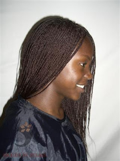 Braiding Style Ideas Braids hairstyle picture gallery