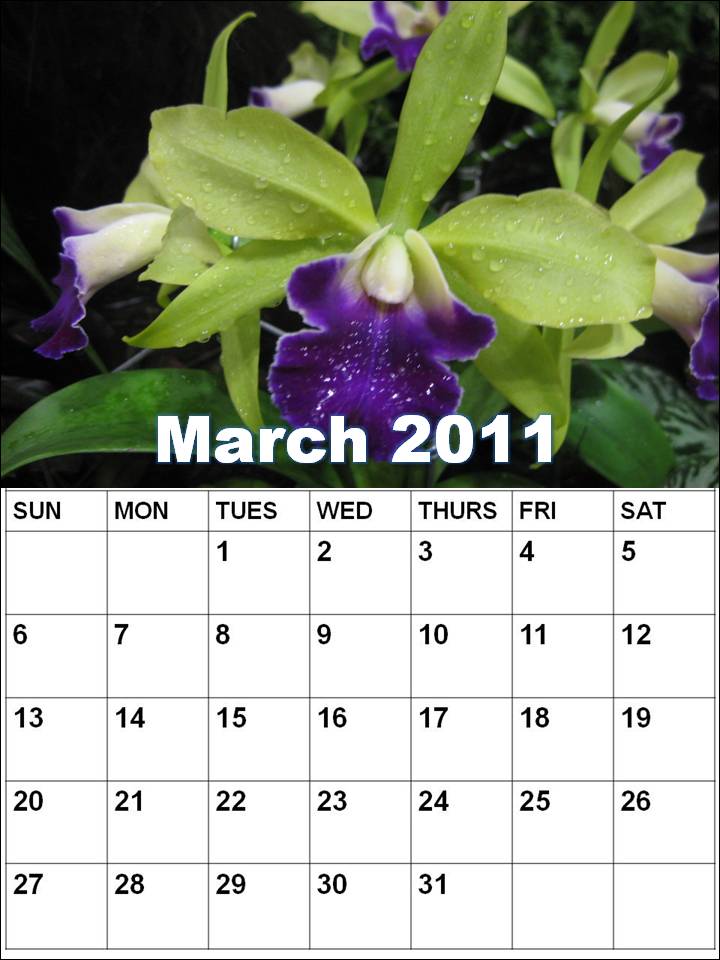 calendar for 2011 march. Blank Calendar 2011 March or