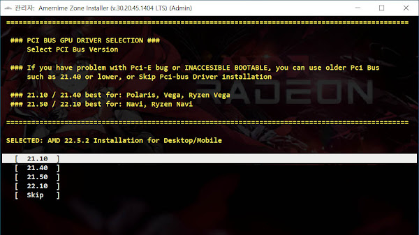 Windows Server 2022 AMD VGA Driver Installation