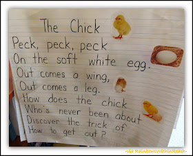 "The Chick" Anchor Chart Poem in Kindergarten via RainbowsWithinReach