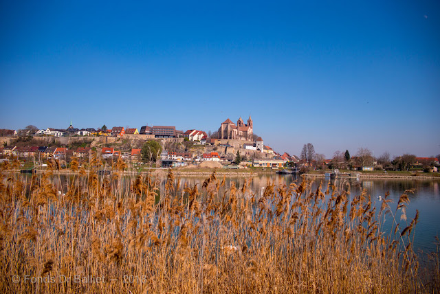 Breisach am Rhein & l'île du Rhin… lieux de villégiature