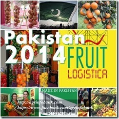 Pakistan participates in Fruit Logistica-2014 Fair in Berlin