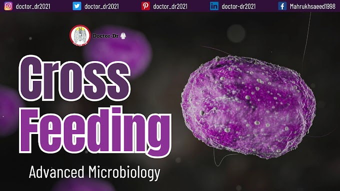 Microbial Cross-Feeding: Extracellular Metabolism 