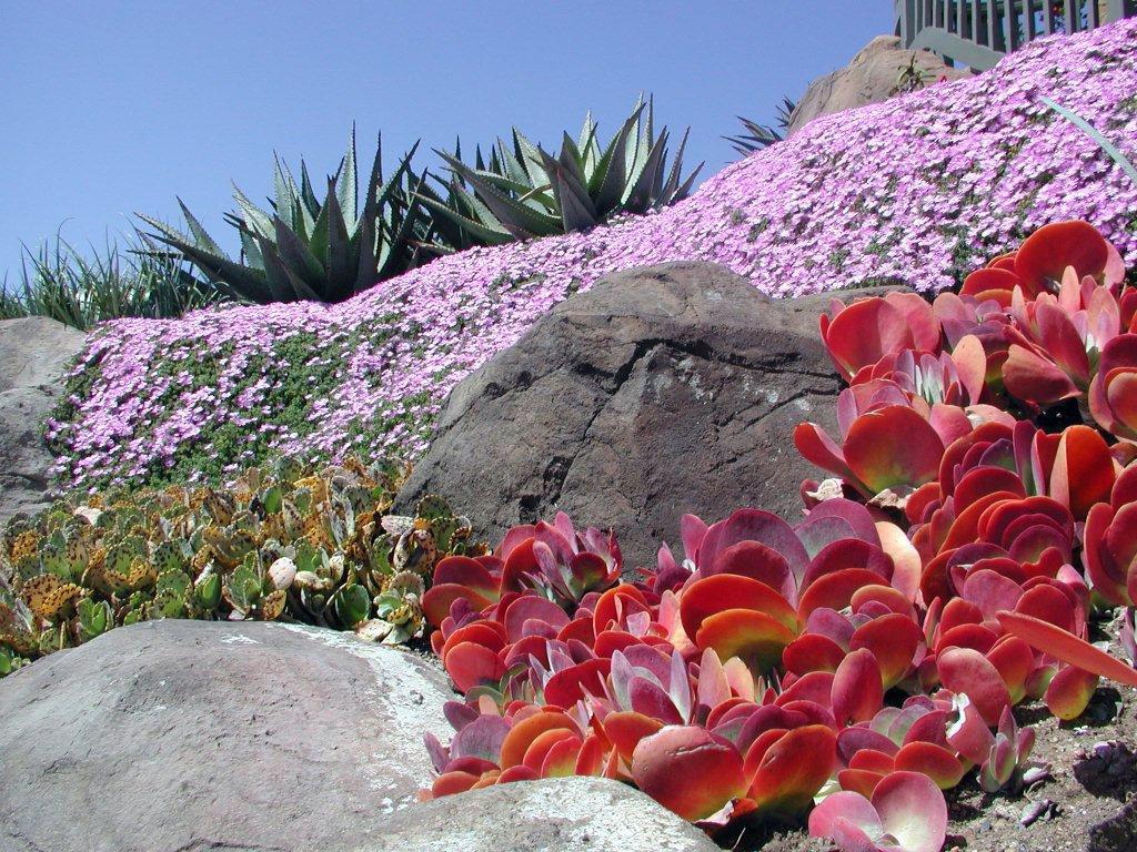 Rogers Gardens Landscape