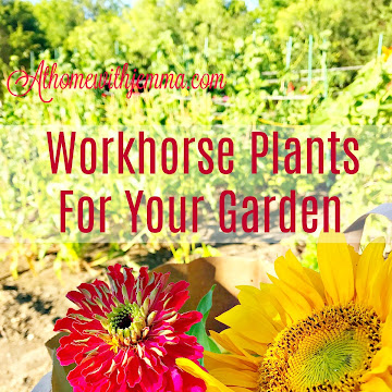 Workhorse Plants For Your Garden