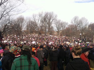 Boston's Common filled with protesters at the Boston Women's March