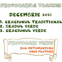 http://www.provocariverzi.ro/2018/12/provocarile-toamnei-decembrie-2018.html