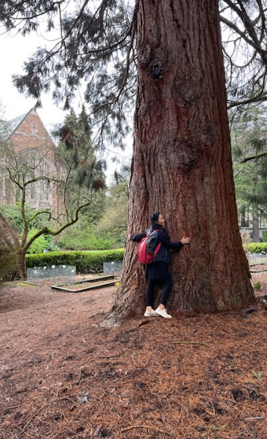 Hugging a big tree