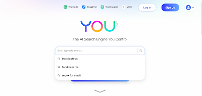 The AI Search Engine You Control