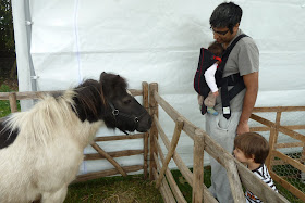 Findon Sheep Fair animals