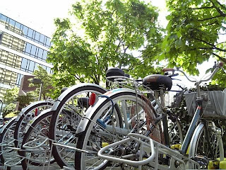 bicycle parking in spring