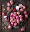 onion  ||  the onion  ||  red & purple onion