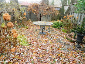 Coxwell Danforth Back Garden Fall Cleanup Before by Paul Jung Gardening Services--a Toronto Gardening Company