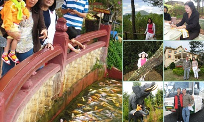 View album
