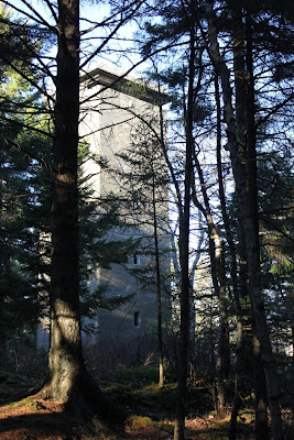 fort baldwin lookout tower