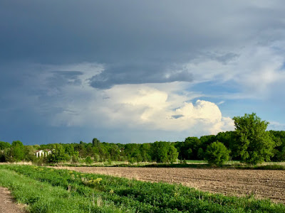 summer storm