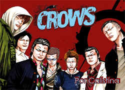 Crows