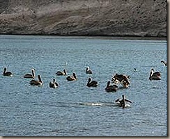 clip_image047