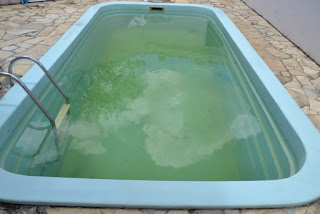 piscina e um grande criadouro de dengue