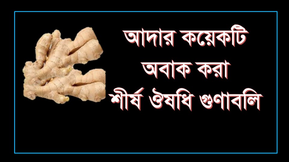 আদার ঔষধি গুণাবলি   ||     আদার উপকারিতা: