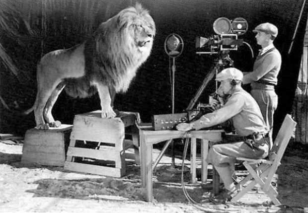φωτογράφιση του διάσημου λιονταριού-σήμα κατατεθέν της MGM
