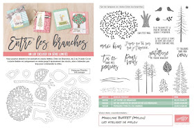 https://fr.pinterest.com/stampinup/thoughtful-branches-bundle/