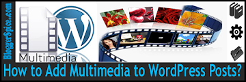 How to Add Multimedia to WordPress Posts?